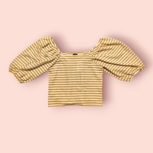 NWT Ann Taylor Crop Ruffle Sleeves Size Large Strips